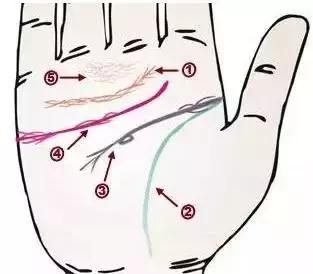 手诊了解一个人的性格和健康,十个最简单的手诊图