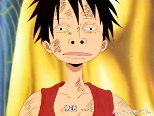 海贼王恶魔果实图鉴书本,海贼王恶魔果实在现实生活中出现