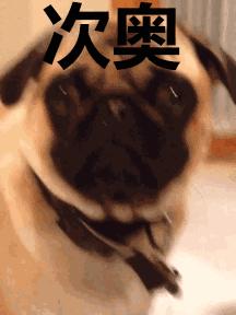 荷兰最便宜的超市在哪里,荷兰本土最大的超市