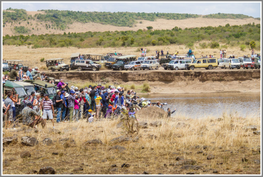 佳能80d和5d2怎么选,佳能5d2和80d拍照对比