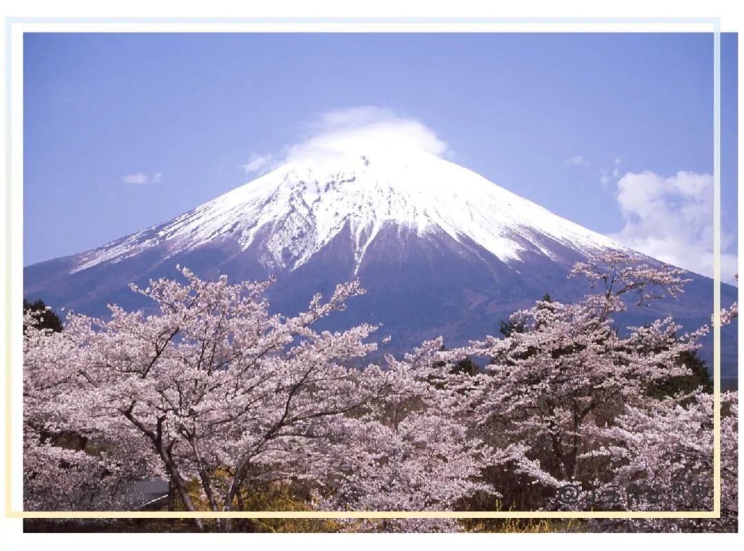 怎么找靠谱的日本代购,日本代购有哪些比较靠谱的