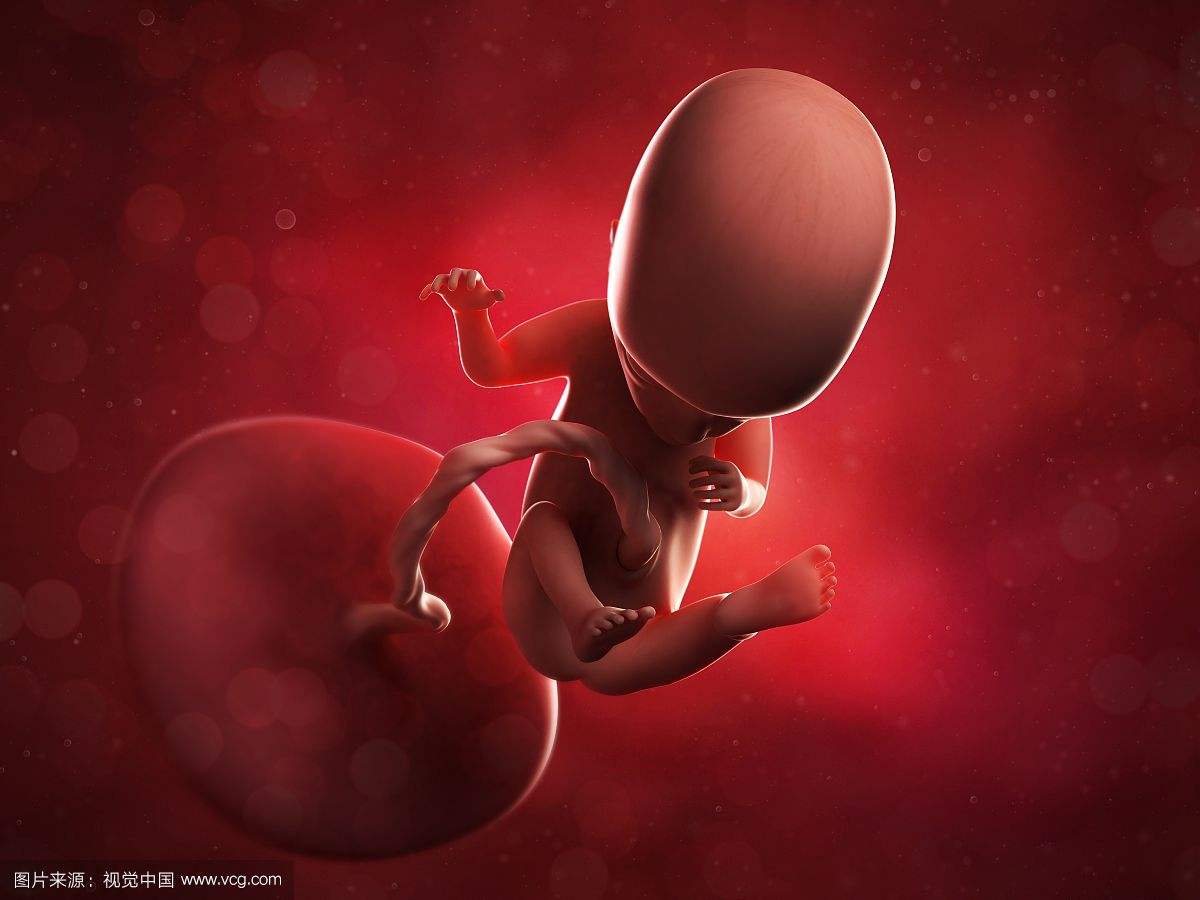 怎么预防胎儿脐带扭转,脐带扭转的概率和预防