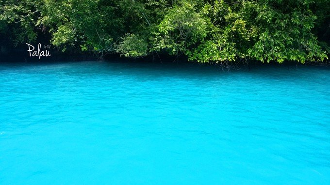 帕劳浮潜一次大概多少钱,帕劳浮潜穿泳衣还是泳裤