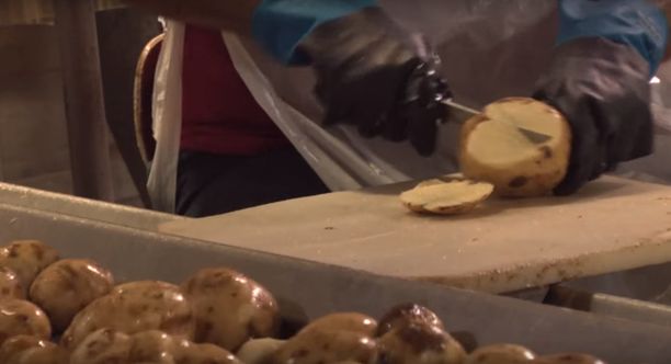 美国十大著名工业旅游景点,世界著名工业旅游工厂