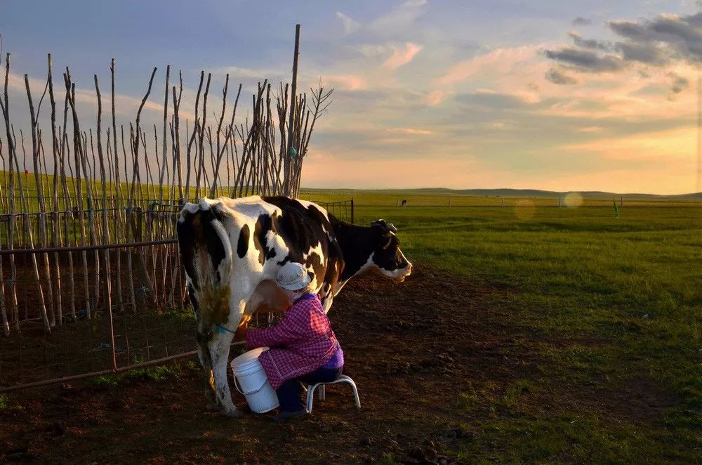 呼伦贝尔自驾游团购,呼伦贝尔团游4天3晚团购