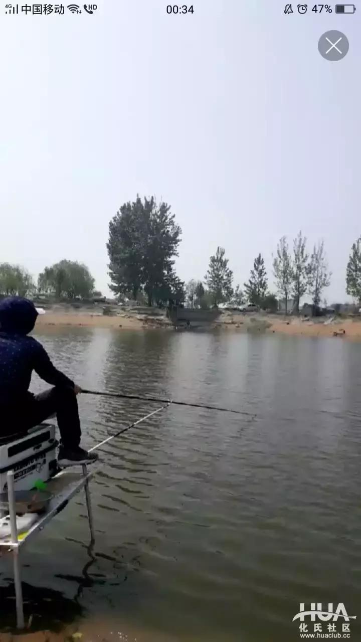 龙纹鲤大鲫大鲤测评,化氏龙纹鲤四代8米1的钓竿多少钱