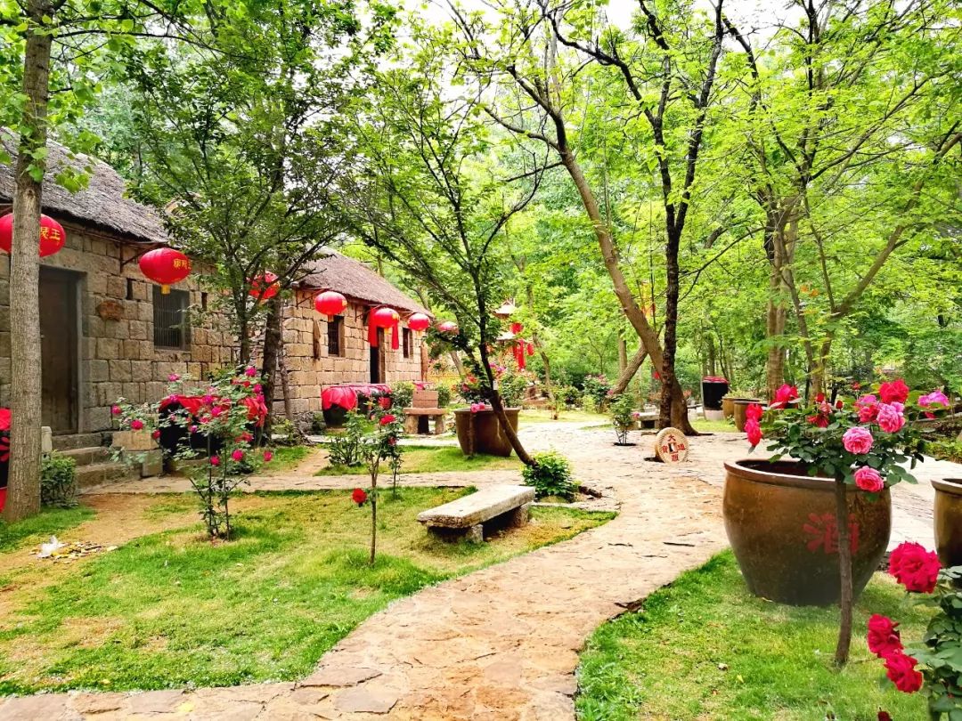 端午节我们要划龙舟还要干什么呢,端午节划龙舟的地方在哪里