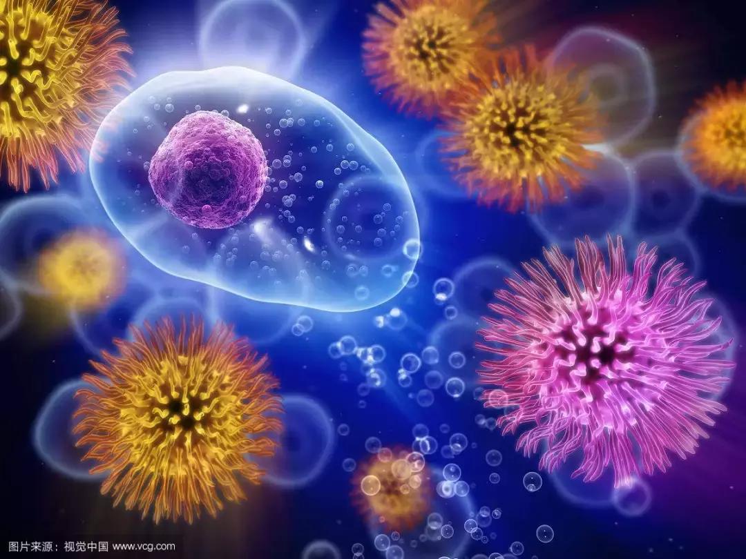 对抗慢性炎症,消除身体慢性炎症的十个方法