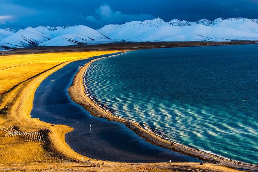 大个头的大智慧！来聊聊什么是单反