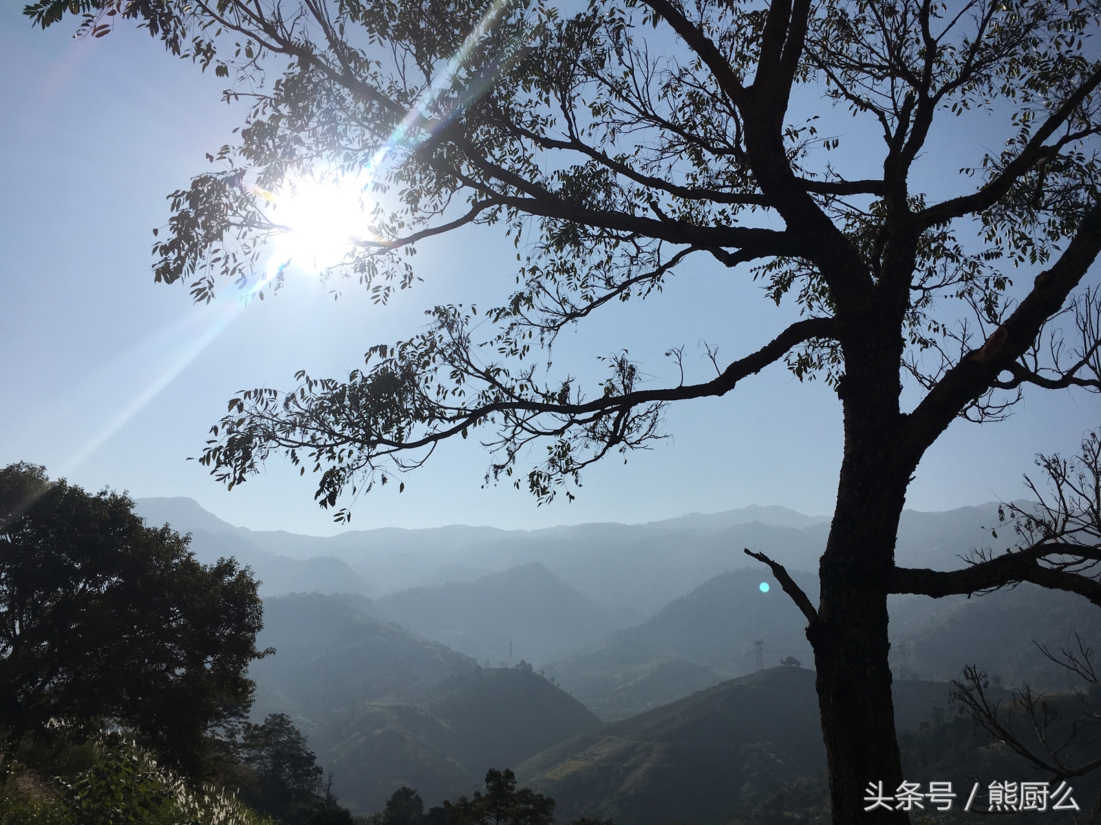 这个村的人一天能喝两斤白酒，不喝酒就浑身没劲不下地干活