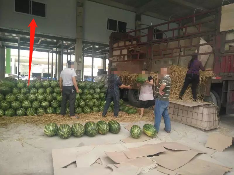 新雪域果蔬城水果旺销，刷新记录，遵义“菜篮子”即将重磅面市！