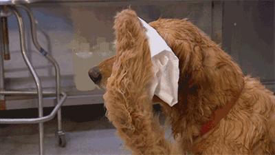 有人吃得多又不长胖的是什么原因,每天吃得少还运动为什么体重不降