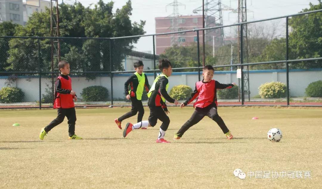 场均上座率最高的联赛,广东汕头足球赛事