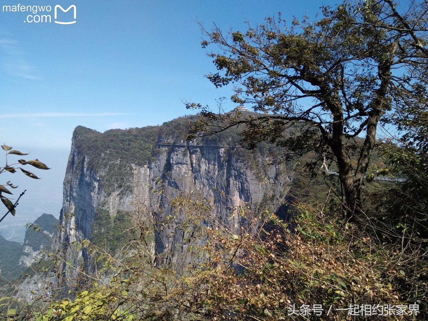张家界机场到天门山自由行攻略,张家界天门山一日游攻略省钱