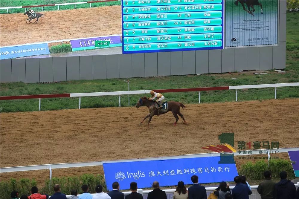 「现场」玉龙今日开锣赛，各路诸侯鏖战百万奖金！马主李勇夺最高奖金，“吉祥如意”马主王福军首战载誉归——1赛马网
