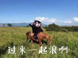 日本必买清单及价格表,去日本旅游最新必买清单