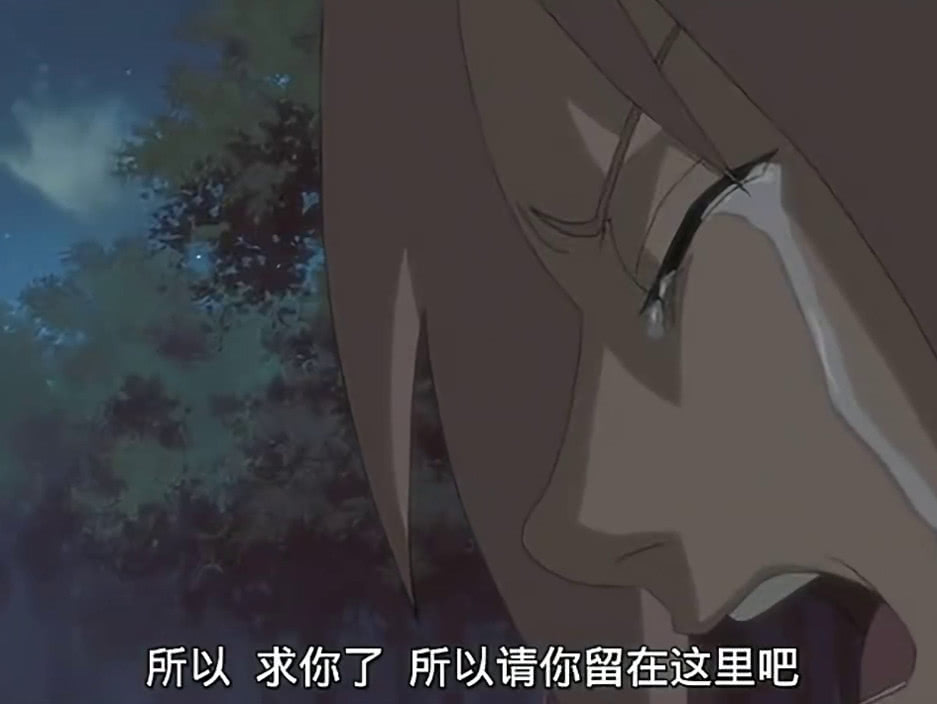 火影忍者佐助叛变是第几集,火影忍者佐助叛逃结局