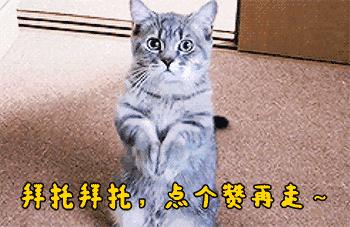 2018世界杯闭幕打鼓,2018世界杯太太军团