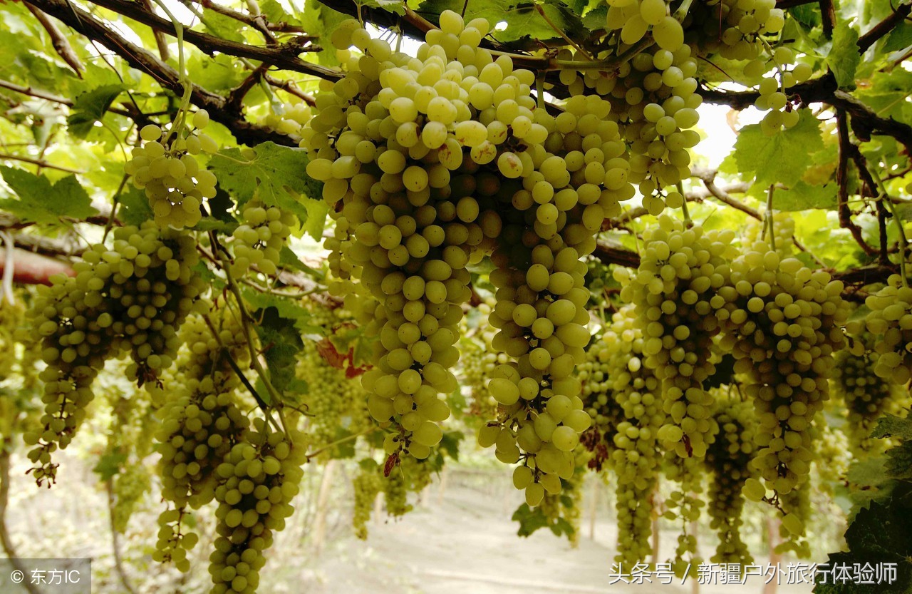 南疆-独库公路寻梦