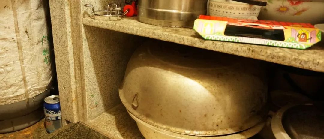 我竟然给蟑螂买了一套房子并请它喝了一罐哈尔滨？