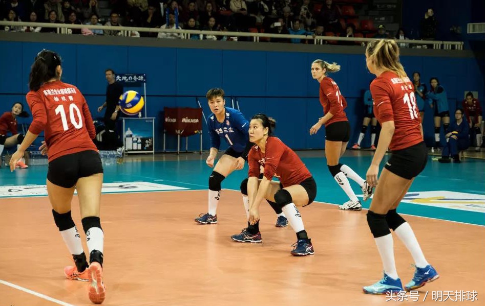 中国女排联赛情况,女排国内联赛