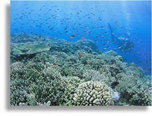 火山岛高岛图片,火山岛中岛