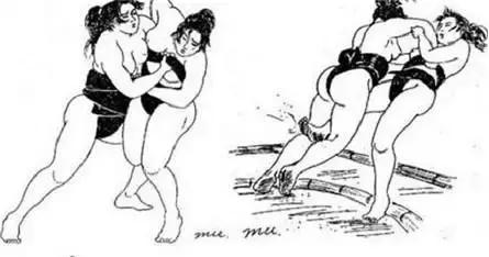 日本相扑的规则,日本相扑竞技规定