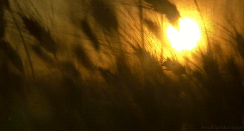 这次武汉下雨要持续多久,武汉一周的雨