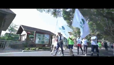 骞垮窞鍗楁矙寰掓2019,寰掓骞垮窞鍗楁矙