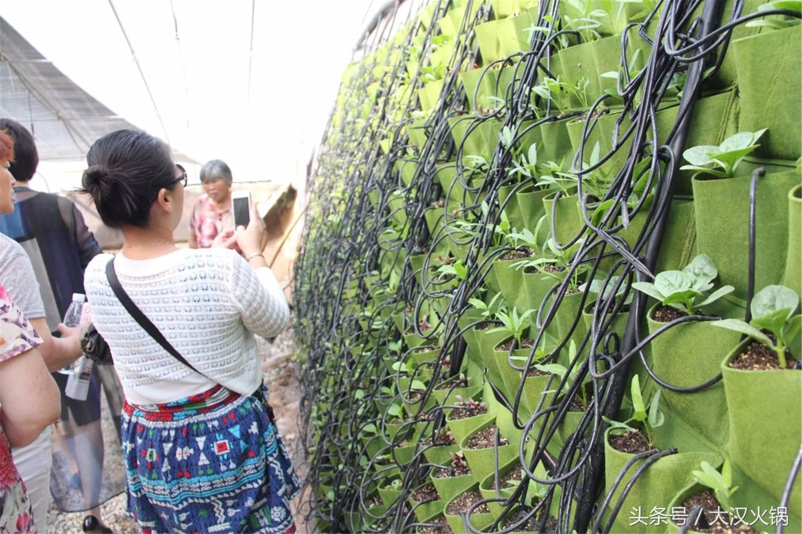 大汉火锅成都,大汉火锅中兴路