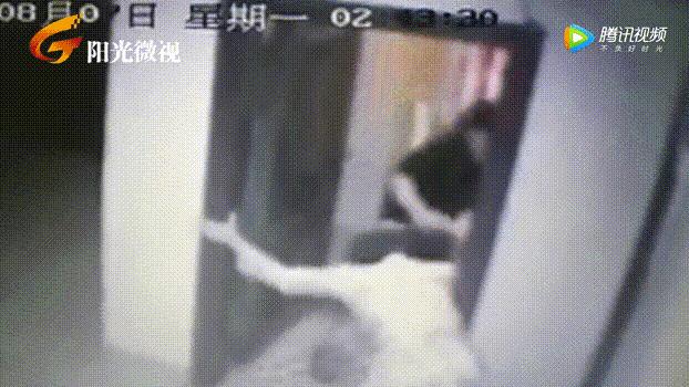 独居女孩必看的例子,独居女孩一定要看的视频