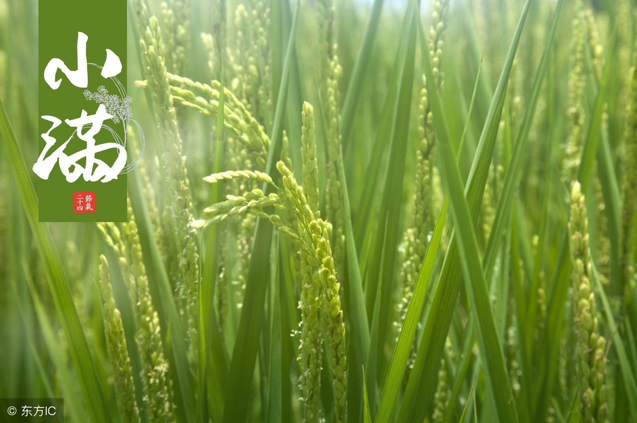 冬奥开幕式二十四节气英语,奥运会二十四节气英语对照表