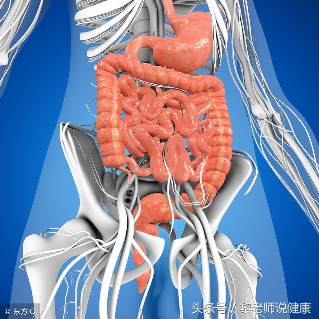 夏季炎热食欲不振怎么办,连雨天吃什么祛湿气最好