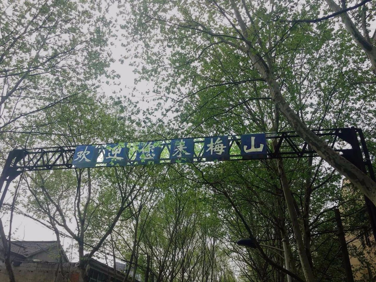 南京的梅山开了没,南京梅山还属于上海吗