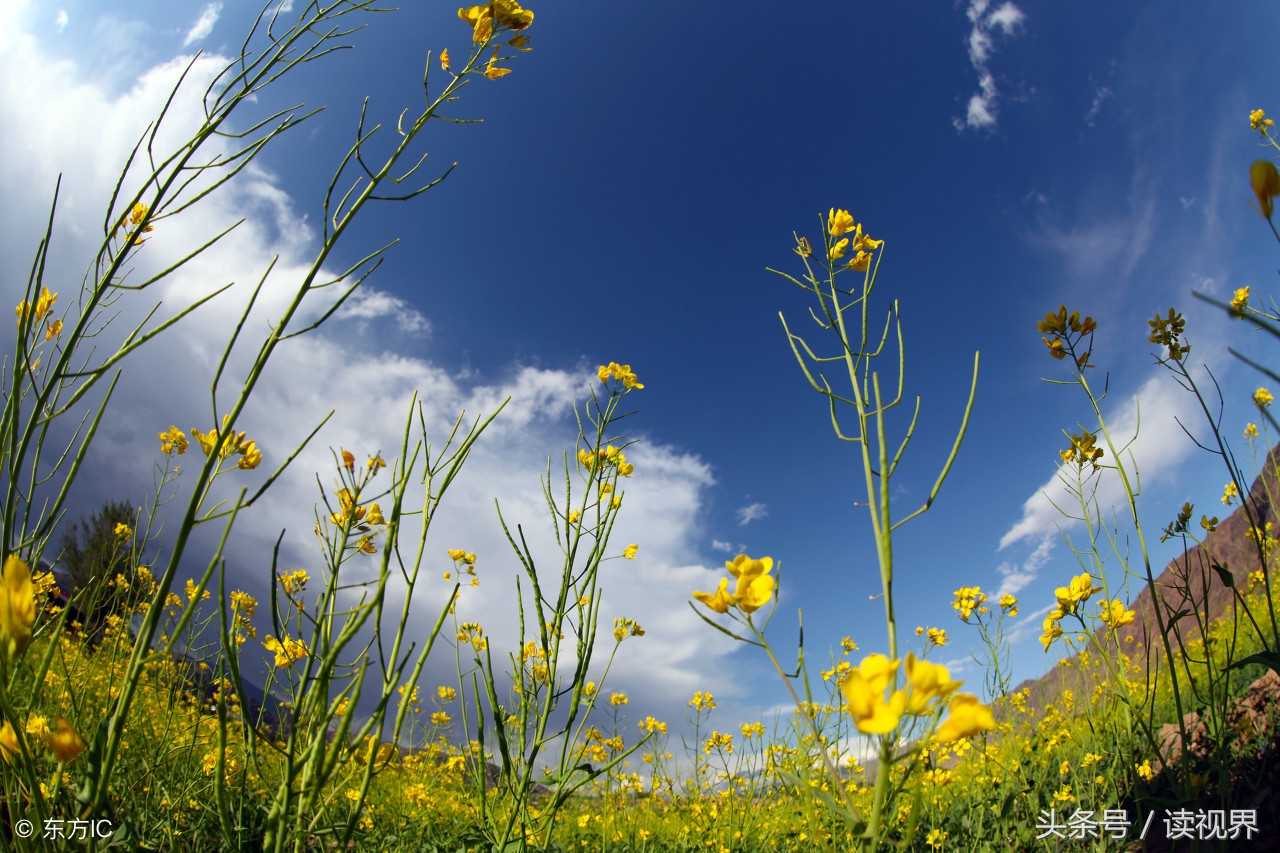 痛苦可怕吗,痛苦为什么放不下