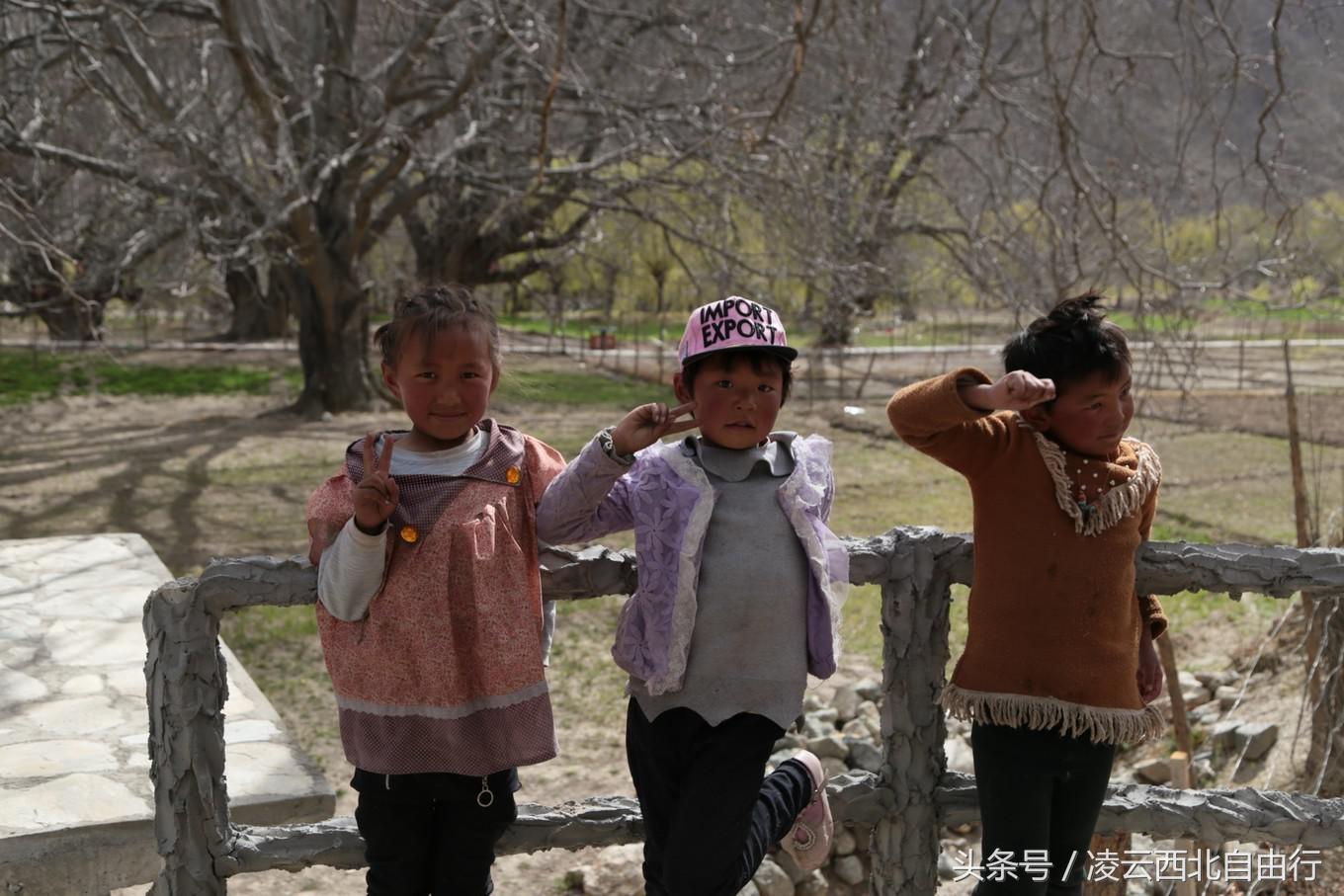 行，为寻三生三世桃花，却爱上了*藏西**的那抹蓝