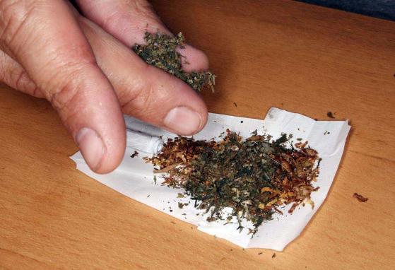 飞叶子是什么感觉？*麻大**有什么危害？