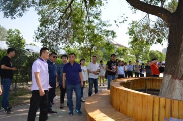 宕囧皻杩愬姩鍋ュ悍,宕囧皻鍋ュ悍杩愬姩