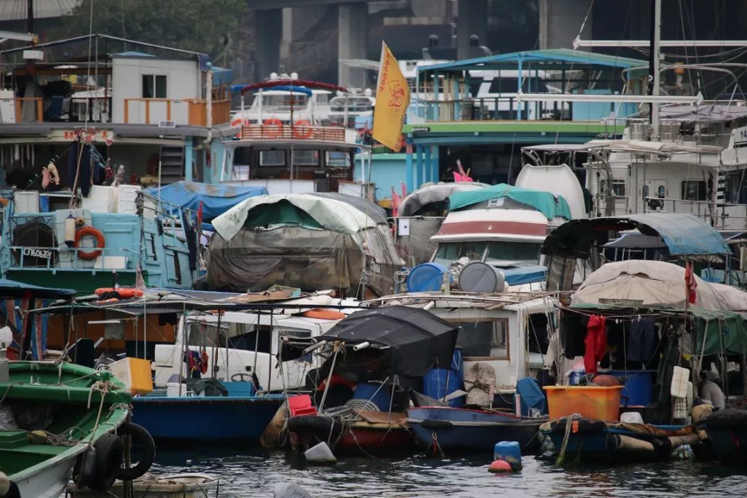 香港仔避风塘的介绍,香港仔避风塘图片