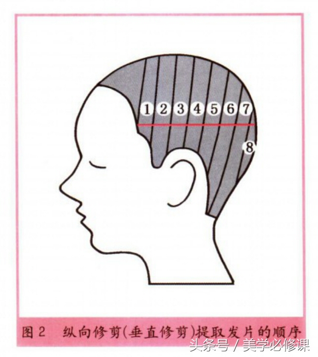 如何简易修剪头发视频讲解,剪发师教你如何剪头发