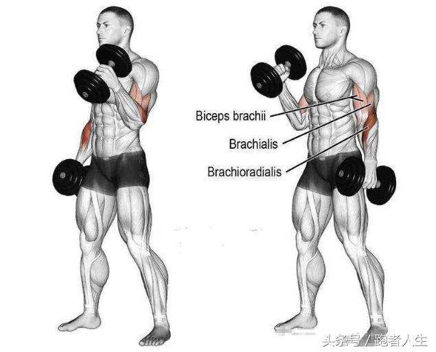 胳膊上软绵绵的赘肉怎么办？一些瘦手臂的好方法，把肥肉练成肌肉