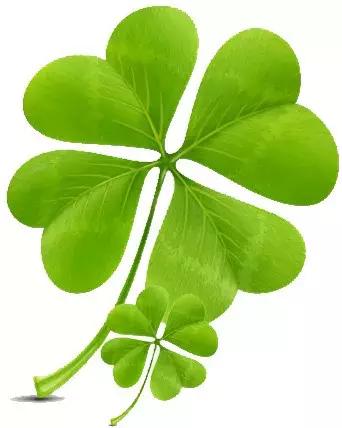 「喜报」祝贺！延平中学团委荣获“泉州市五四红旗团委”称号