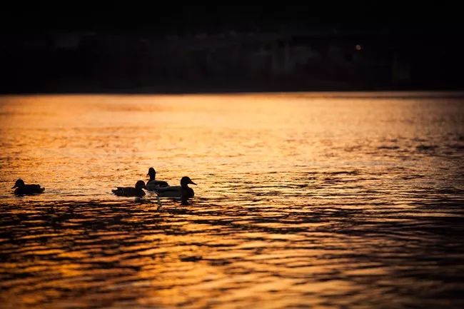 林子：金融圈研究员的一天是什么样的？