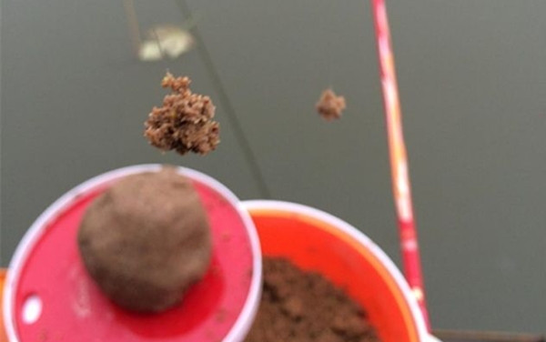 鲤鱼的钓法饵料,鲤鱼的经典钓法