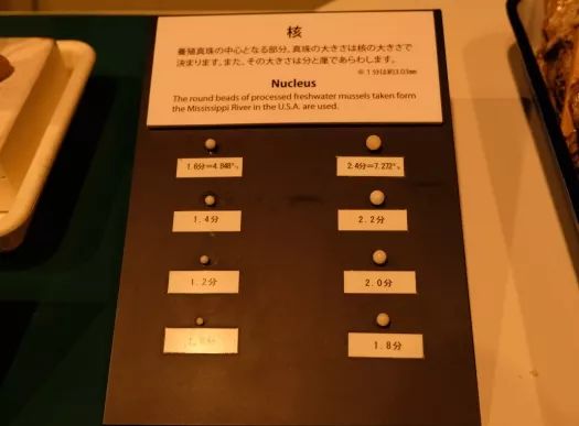 王珠宝寻宝日记：探访珍珠小城日本三重县鸟取市