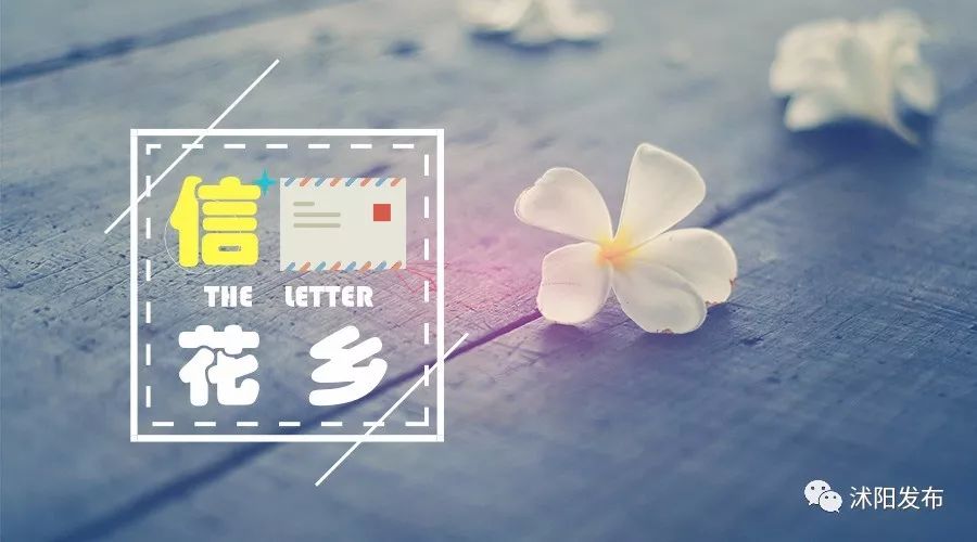 夏老师到底爱谁,夏老师喜欢陈律吗