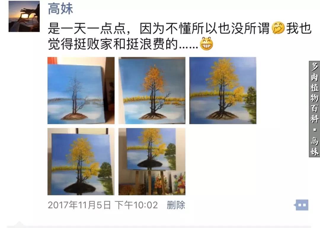 90张多肉图片——纪念入坑两周年！