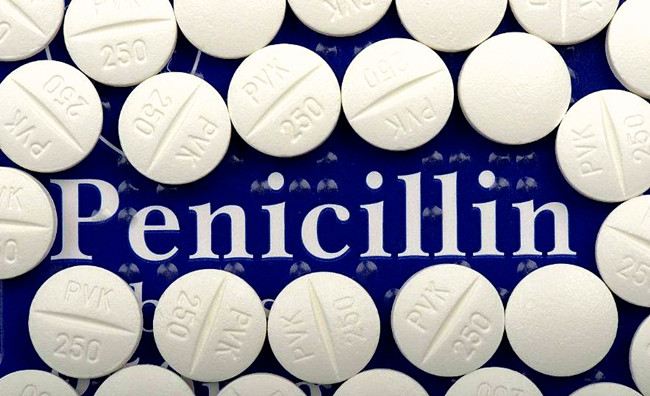 抗战剧绝地归途,抗战之绝地归途全文免费阅读