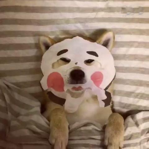 国货面膜平价又好用补水,十大国货良心面膜平价