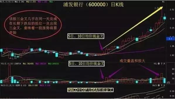 股市投机时代深度解析,中国股市为什么只适合短期投机